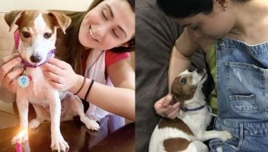 'Just as my heart started to heal': Carla Abellana mourns dog of 11 years