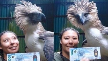 Real Philippine Eagle in P1,000 bill, passport goes viral on TikTok