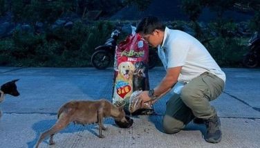 'Born to be Wild' host Dr. Nielsen Donato shares experience rescuing animals from disasters